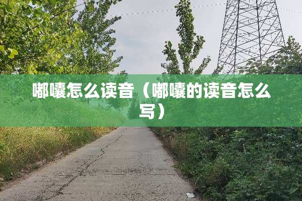 嘟囔怎么读音（嘟囔的读音怎么写）