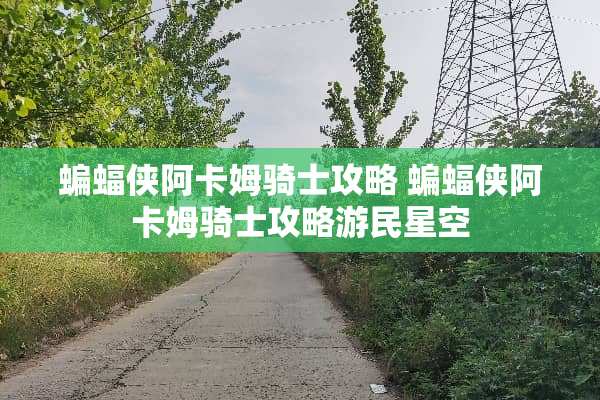 蝙蝠侠阿卡姆骑士攻略 蝙蝠侠阿卡姆骑士攻略游民星空