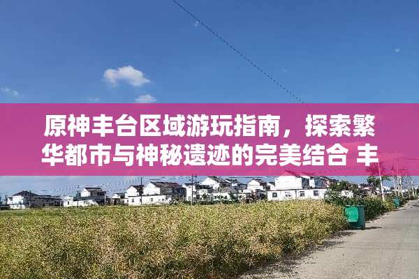 原神丰台区域游玩指南，探索繁华都市与神秘遗迹的完美结合 丰台游玩攻略游戏推荐