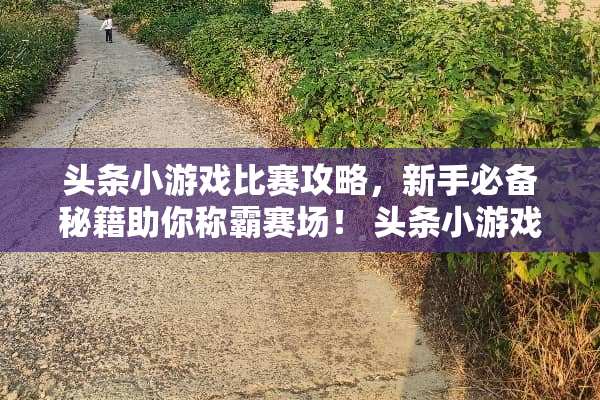 头条小游戏比赛攻略，新手必备秘籍助你称霸赛场！ 头条小游戏比赛攻略