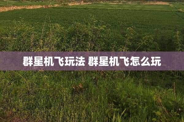 群星机飞玩法 群星机飞怎么玩