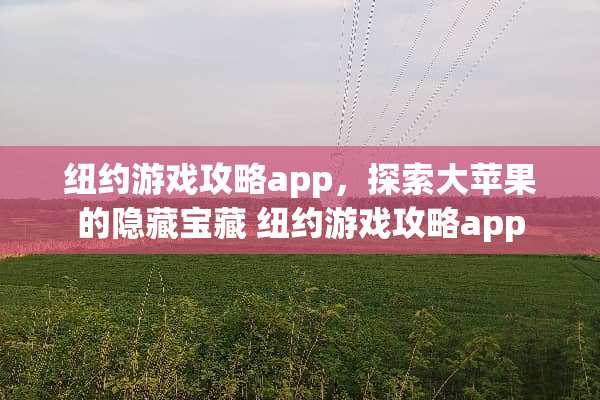 纽约游戏攻略app，探索大苹果的隐藏宝藏 纽约游戏攻略app