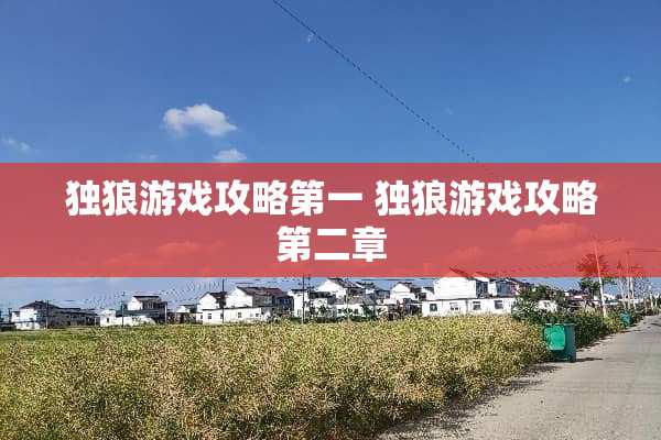独狼游戏攻略第一 独狼游戏攻略第二章