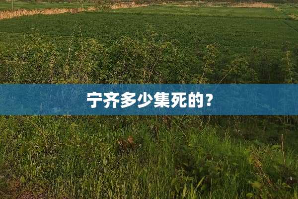 宁齐多少集死的？