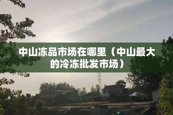 中山冻品市场在哪里（中山最大的冷冻批发市场）