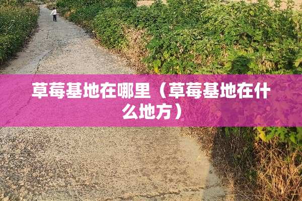 草莓基地在哪里（草莓基地在什么地方）