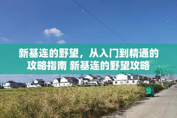 新基连的野望，从入门到精通的攻略指南 新基连的野望攻略