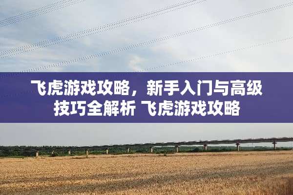 飞虎游戏攻略，新手入门与高级技巧全解析 飞虎游戏攻略