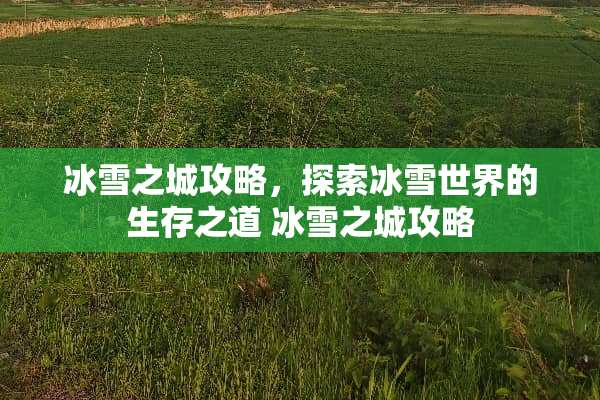 冰雪之城攻略，探索冰雪世界的生存之道 冰雪之城攻略