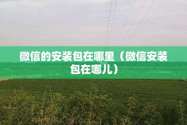 微信的安装包在哪里（微信安装包在哪儿）