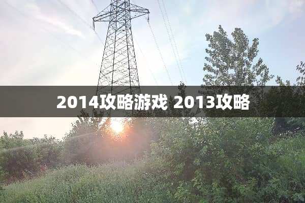 2014攻略游戏 2013攻略