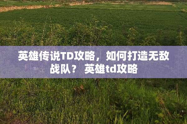 英雄传说TD攻略，如何打造无敌战队？ 英雄td攻略
