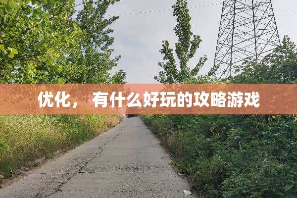 优化， 有什么好玩的攻略游戏