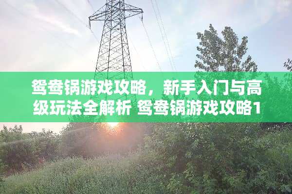 鸳鸯锅游戏攻略，新手入门与高级玩法全解析 鸳鸯锅游戏攻略1