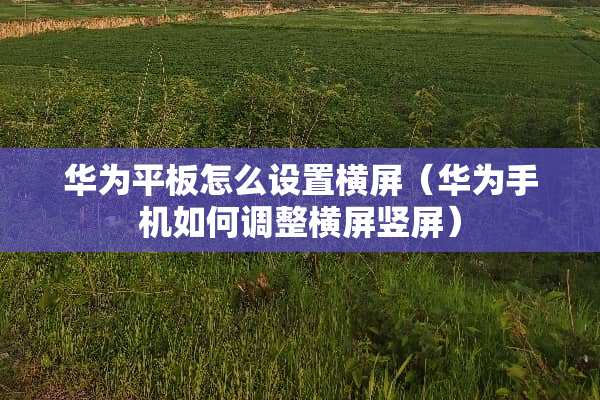 华为平板怎么设置横屏（华为手机如何调整横屏竖屏）