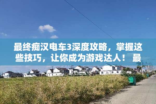 最终痴汉电车3深度攻略，掌握这些技巧，让你成为游戏达人！ 最终痴汉电车3攻略
