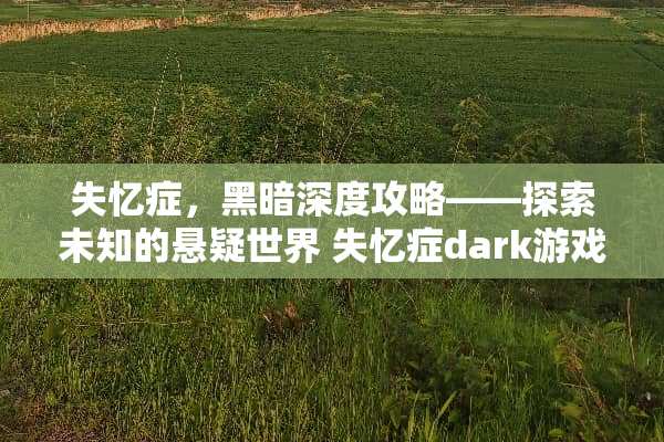 失忆症，黑暗深度攻略——探索未知的悬疑世界 失忆症dark游戏攻略