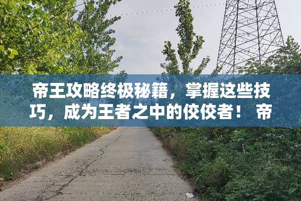 帝王攻略终极秘籍，掌握这些技巧，成为王者之中的佼佼者！ 帝王攻略游戏攻略