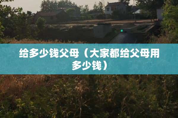 给多少钱父母（大家都给父母用多少钱）