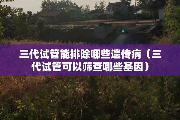 三代试管能排除哪些遗传病（三代试管可以筛查哪些基因）