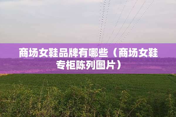 商场女鞋品牌有哪些（商场女鞋专柜陈列图片）