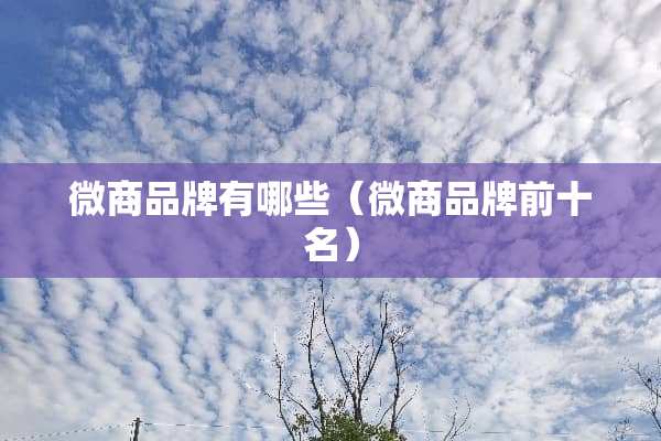 微商品牌有哪些（微商品牌前十名）