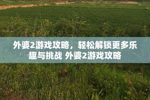 外婆2游戏攻略，轻松解锁更多乐趣与挑战 外婆2游戏攻略