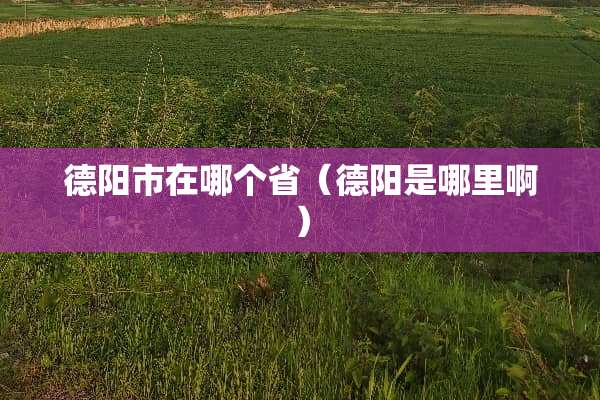 德阳市在哪个省（德阳是哪里啊）