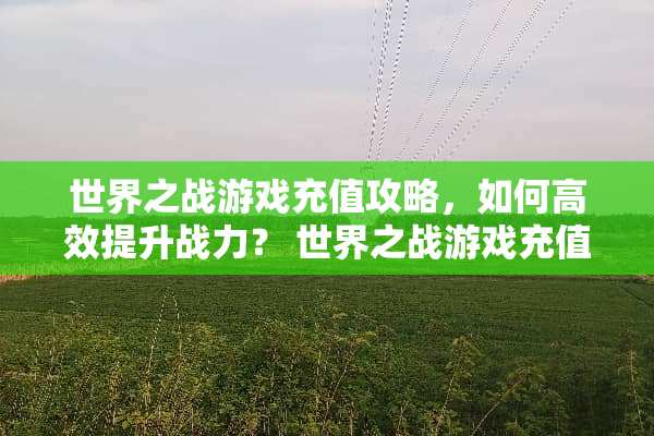 世界之战游戏充值攻略，如何高效提升战力？ 世界之战游戏充值攻略