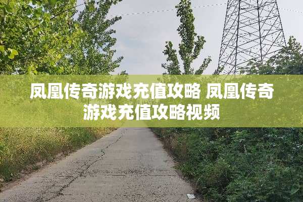 凤凰传奇游戏充值攻略 凤凰传奇游戏充值攻略视频
