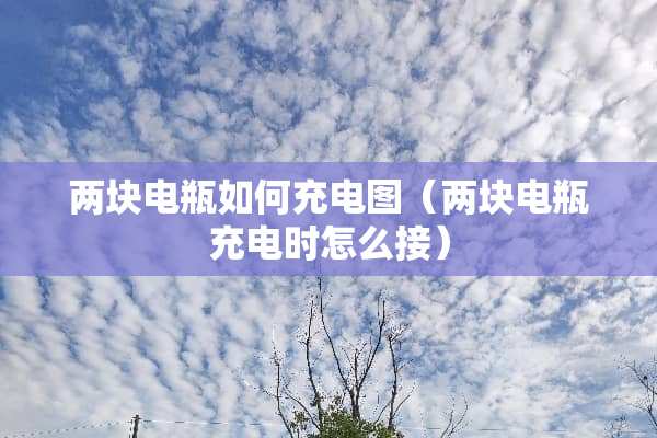 两块电瓶如何充电图（两块电瓶充电时怎么接）