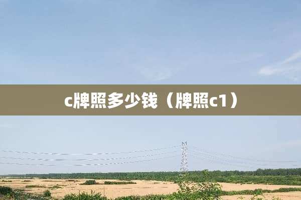 c牌照多少钱（牌照c1）