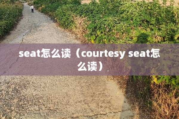 seat怎么读（courtesy seat怎么读）