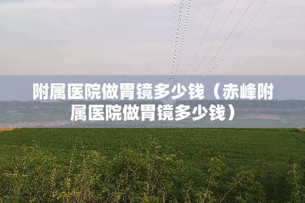 附属医院做胃镜多少钱（赤峰附属医院做胃镜多少钱）