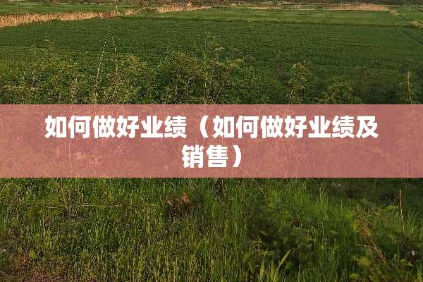 如何做好业绩（如何做好业绩及销售）