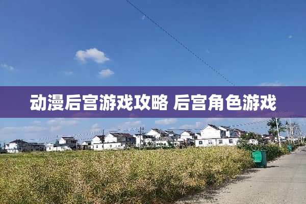 动漫后宫游戏攻略 后宫角色游戏