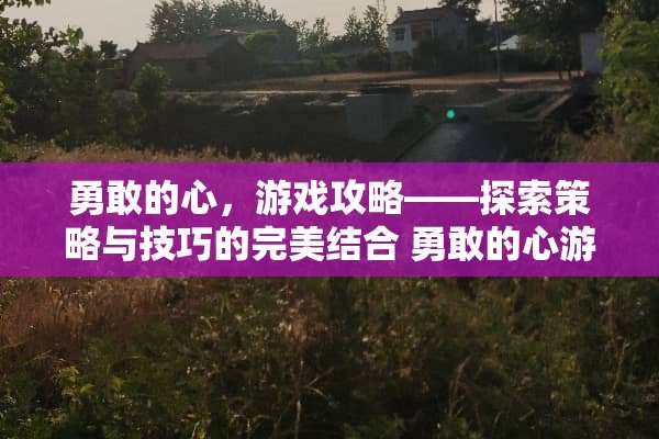勇敢的心，游戏攻略——探索策略与技巧的完美结合 勇敢的心游戏攻略