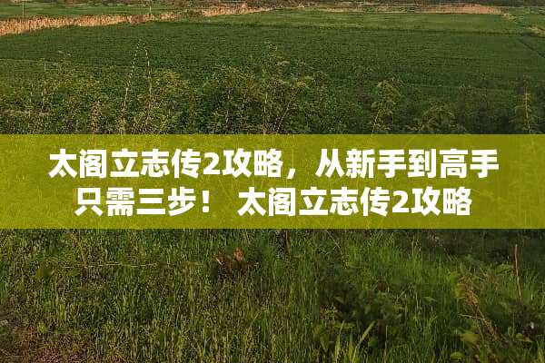 太阁立志传2攻略，从新手到高手只需三步！ 太阁立志传2攻略