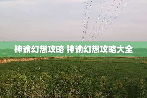 神谕幻想攻略 神谕幻想攻略大全