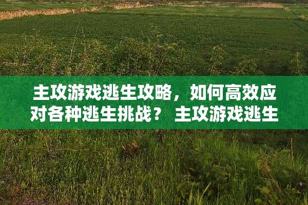 主攻游戏逃生攻略，如何高效应对各种逃生挑战？ 主攻游戏逃生攻略