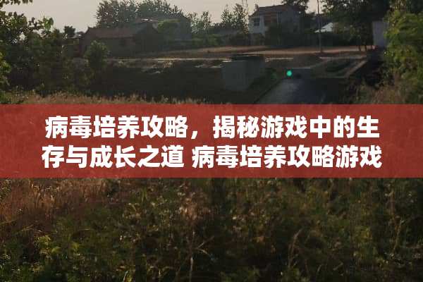 **培养攻略，揭秘游戏中的生存与成长之道**培养攻略游戏推荐