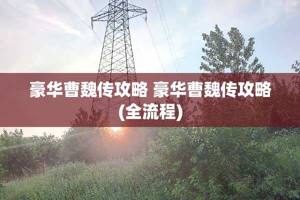 豪华曹魏传攻略 豪华曹魏传攻略(全流程)