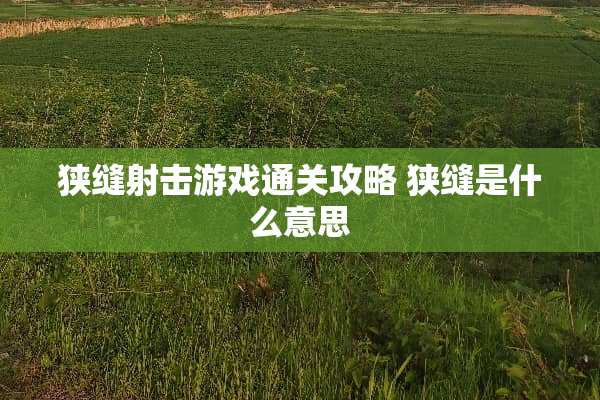 狭缝射击游戏通关攻略 狭缝是什么意思