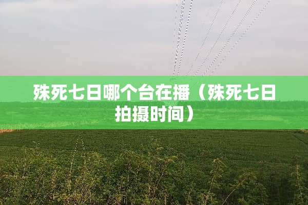 殊死七日哪个台在播（殊死七日拍摄时间）