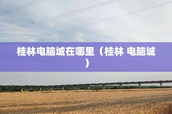 桂林电脑城在哪里（桂林 电脑城）