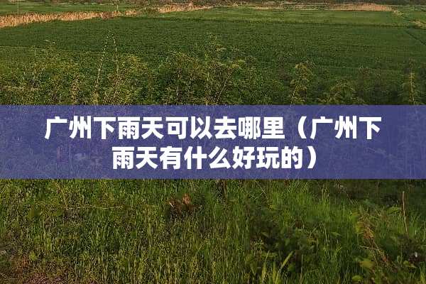 广州下雨天可以去哪里（广州下雨天有什么好玩的）