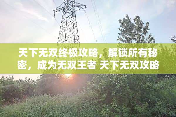 天下无双终极攻略，解锁所有秘密，成为无双王者 天下无双攻略