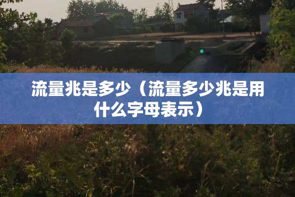 流量兆是多少（流量多少兆是用什么字母表示）