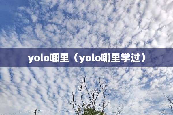 yolo哪里（yolo哪里学过）