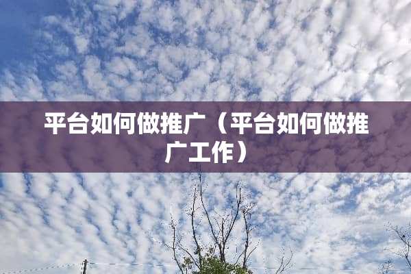平台如何做推广（平台如何做推广工作）